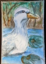 ACEO Original watercolor