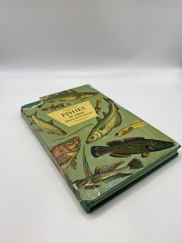 Fishes colour gwynne - gwynne, vevers
