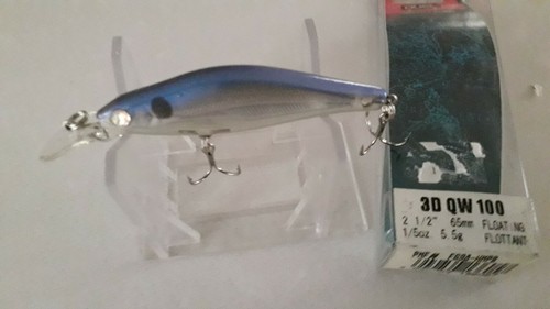 Zuri duel qw quiet - 🐟yo,