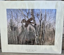 David Maass Woodlot Flush