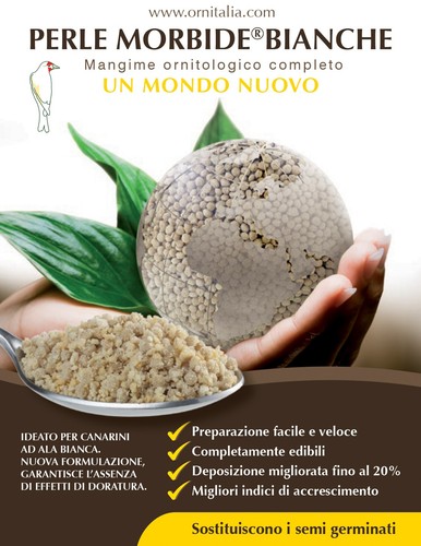 Perle morbide bianche - perle, 800g