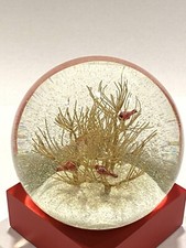 Cool Snow Globes Trees