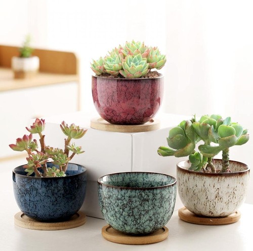 Pcs owl succulent pots - pcs,