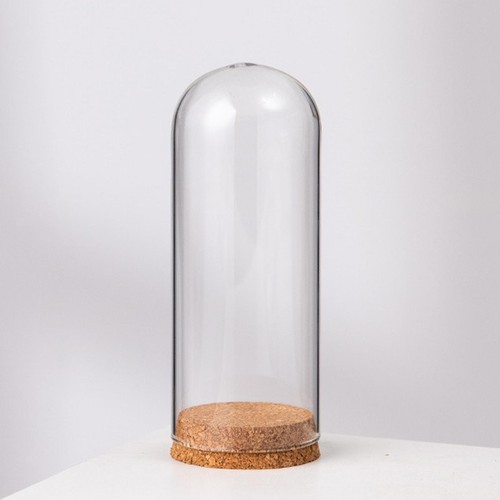 Cloche bell jar display dome - cloche,