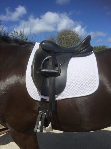 Black jessica dressage saddle - black,