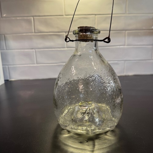 Glass wasp trap garden decor - glass,