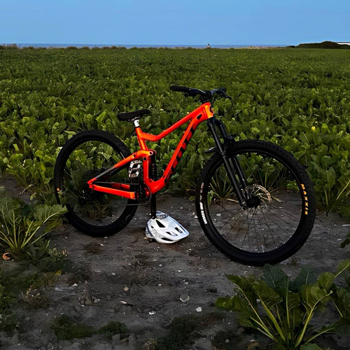 Scott 29in mountain - mountain, large