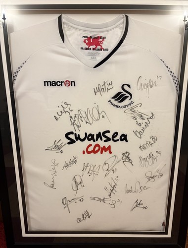 2007 swansea city signed - 2007/08,