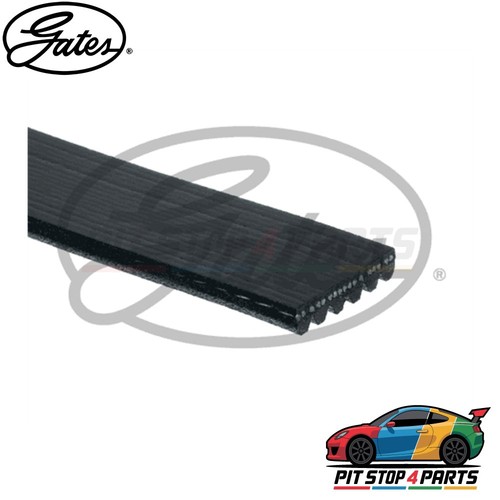 For porsche 911 ribbed belts - for,