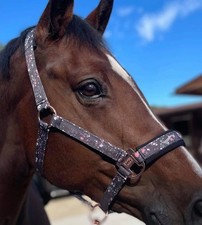 Eskadron Graffiti Pony Head