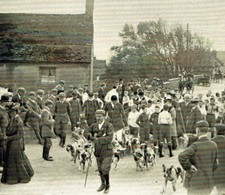 Hailsham Harriers Meet