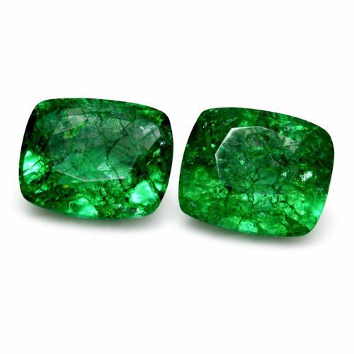 Cushion pair natural green - pair,