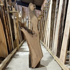 Holm Oak Wood Slab Plank Waney