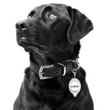 Clip On Lumeez® LED Safety