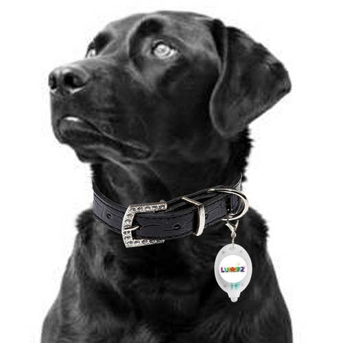 Clip lumeez led - lumeez®,