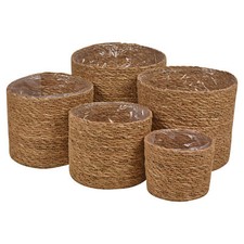 5 Pcs Set Woven Seagrass Plant