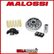 5113393 VARIATORE MALOSSI
