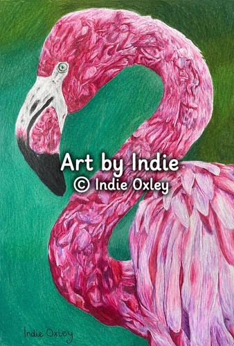 Flamingo original coloured - original,