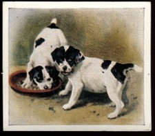 Tobacco Card, Godfrey