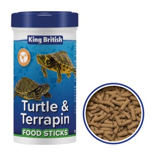 King british turtle terrapin - turtle, &
