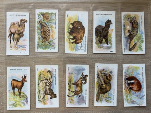 Complete set adkin - a,
