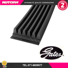 5PK1230 Poly-V Belt