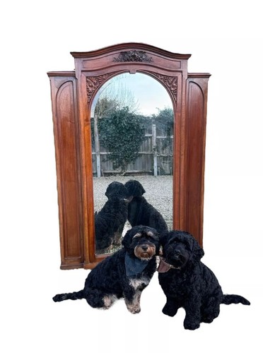Antique huge french - french, regency