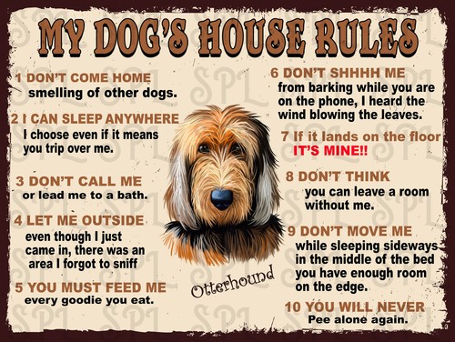 Dog house rules - dog's,