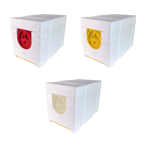 Queen bee breeding box - queen,