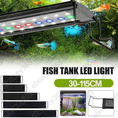 115cm aquarium fish - fish, tank