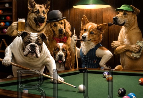 Dogs playing pool 19 - 13, x