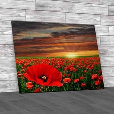 Poppy Field At Sunrise Canvas