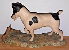 Jack Russell TERRIER and Mouse