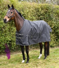 Rhinegold Nevada 50g Horse