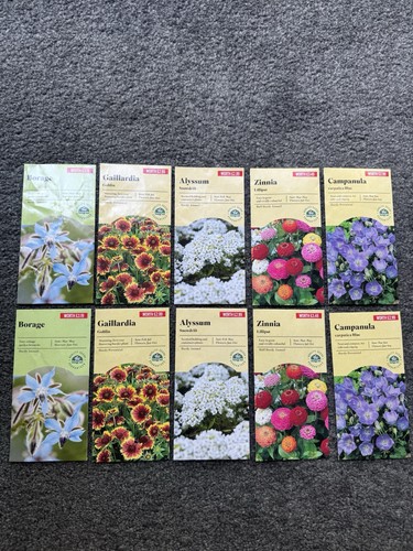 Alliums mixed garden - mixed, fireworks