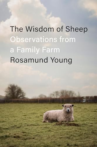 The wisdom sheep observatio - wisdom,