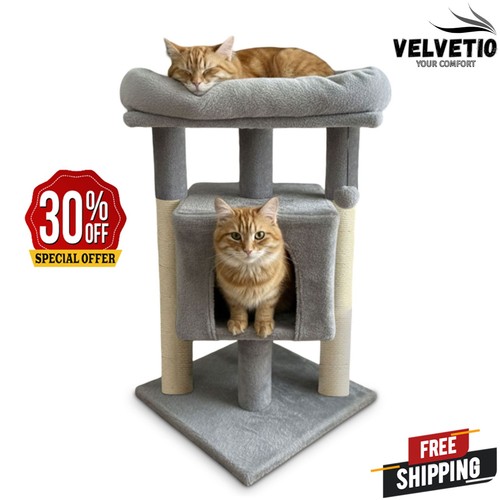Cat tree tower - cat, bed