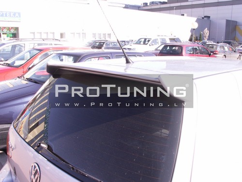 Rear door roof spoiler - roof,