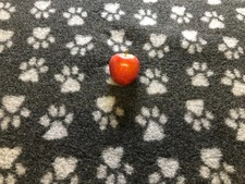 Vet Bed Dog Crate Whelping