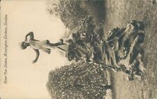 Kensington gardens peter pan