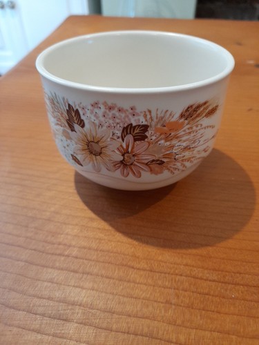 Poole pottery summer glory - poole,