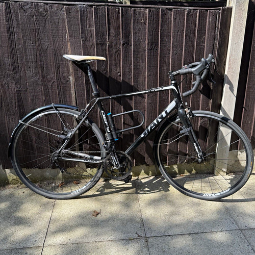 Giant single speed - , custom
