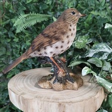 Vivid Arts Garden Birds Song