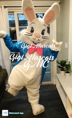Professional easter bunny - easter,