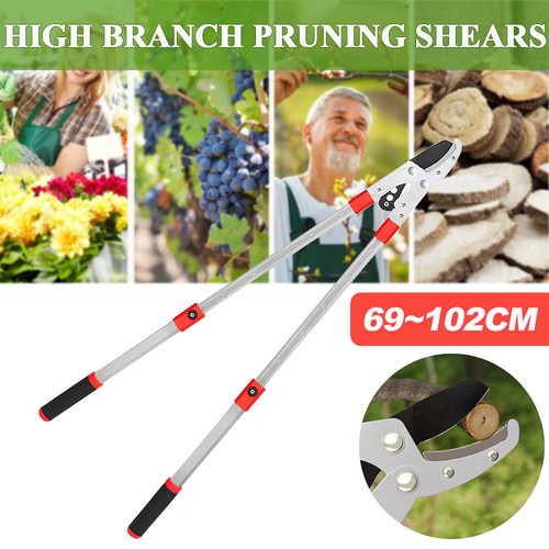 Telescopic garden pruning - telescopic,