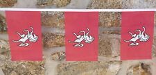 Kent Flag Polyester Bunting -