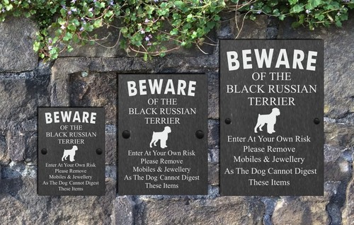 Humorous beware the dog - humorous,