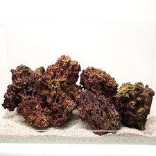 Jurassic reef rock 12kg box - reef,