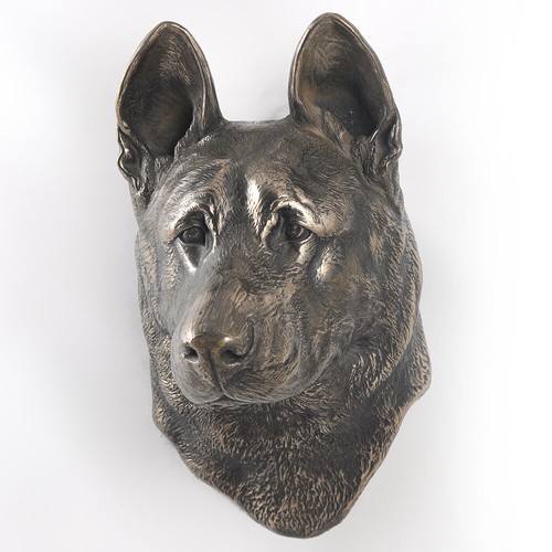 German shepherd dog - dog,, alsatian