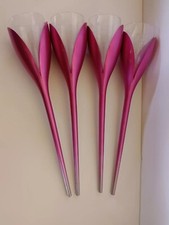 Moet & Chandon  4 Pink Tulip